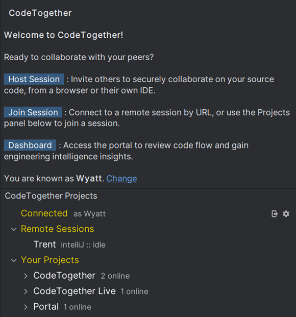 CodeTogether view shown in IntelliJ IDEA