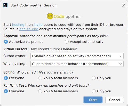Starting a session in IntelliJ IDEA