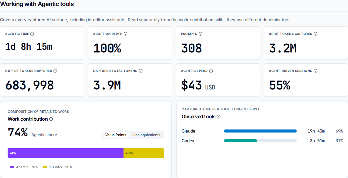 Developer profile, Working with Agentic tools